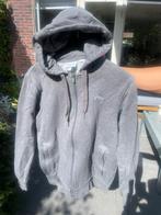 Lacoste vest grij, Ophalen, Zo goed als nieuw