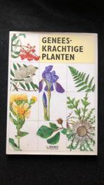 Prihoda - Geneeskrachtige planten, Ophalen of Verzenden, Zo goed als nieuw, Prihoda