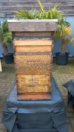 complete bijenkast, Bijen