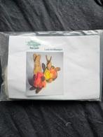 Viltpakket Ladybirdhaasjes (atelier Ladybird), Ophalen of Verzenden, Nieuw, Materiaal