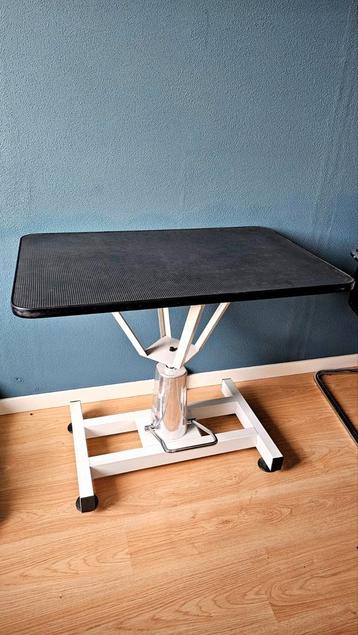 Trim tafel honden beschikbaar voor biedingen