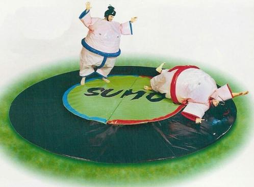 Sumo worstelen te huur, huren, Hobby en Vrije tijd, Feestartikelen | Verhuur, Zo goed als nieuw, Verjaardag, Verzenden