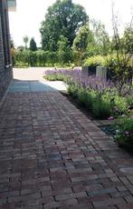 Gebakken Dikformaat Bergamo Antica, Restpartij 31m² Korting!, Ophalen of Verzenden, Nieuw, Keramiek, Klinkers