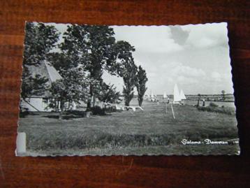 U35 - Galamadammen - Zeilen - Mooi/Oud beschikbaar voor biedingen