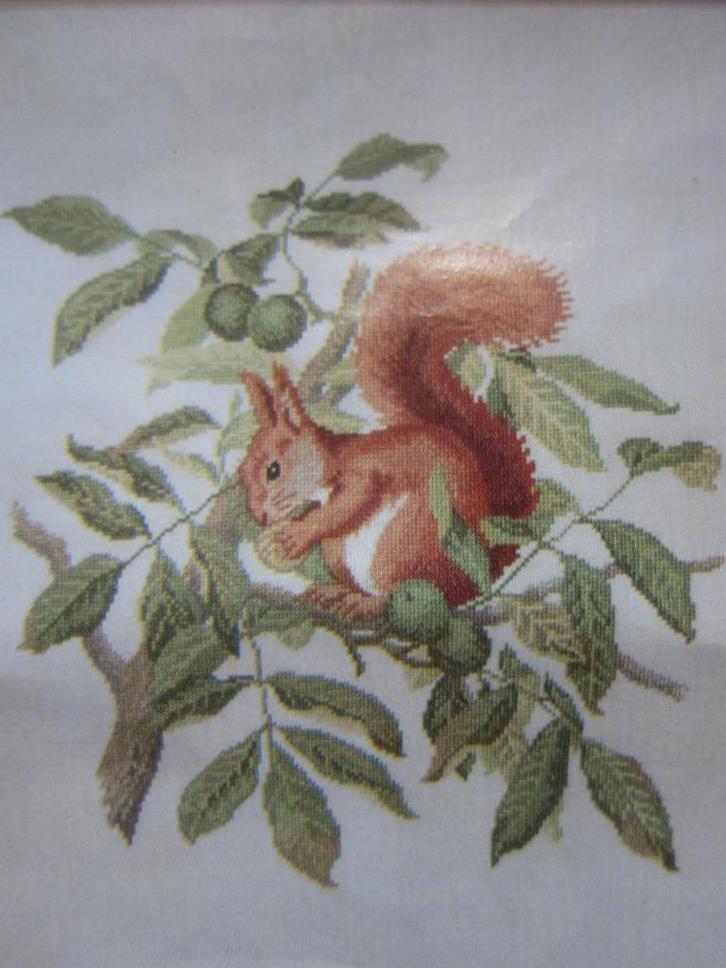 borduurpatroonen  EEKHOORNS en andere dieren, Hobby en Vrije tijd, Borduren en Borduurmachines, Zo goed als nieuw, Patroon, Handborduren