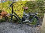 gazelle damesfiets Eclipse, Ophalen, Gebruikt, Versnellingen, 56 cm of meer