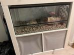 Terrarium gebruikt  als hamsterkooi, Dieren en Toebehoren, Ophalen, Gebruikt, Terrarium of Paludarium