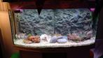 Aquarium vision 260liter, Dieren en Toebehoren, Vissen | Aquaria en Toebehoren, Ophalen