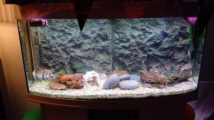 Aquarium vision 260liter, Dieren en Toebehoren, Vissen | Aquaria en Toebehoren, Ophalen