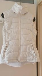 Bodywarmer H&M maat 38, Kleding | Dames, Bodywarmers, Gedragen, Maat 38/40 (M), H&M, Wit