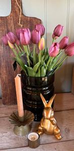 Prachtige tulpen, Ophalen of Verzenden, Nieuw, Binnen