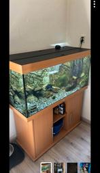 Juwel aquarium 360 liter, Ophalen, Leeg aquarium