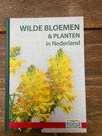 Wilde bloemen & planten in Nederland, Ophalen, Nieuw, Tuinieren en Tuinplanten
