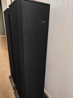 BNS Soundcolomn 1e speakers - Van den Hul bekabeling, Gebruikt, 60 tot 120 watt, Front, Rear of Stereo speakers, Ophalen
