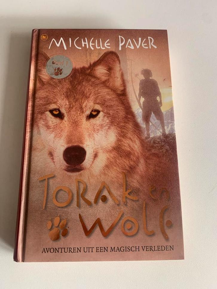 Torak en Wolf - Michelle Paver - Prima Staat, Boeken, Fantasy, Zo goed als nieuw, Ophalen of Verzenden