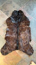 Geiten huid/vloerkleedje, Ophalen, Bruin, Nieuw, 50 tot 100 cm