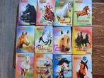 Heartland paardenboekjes, Boeken, Ophalen of Verzenden, Zo goed als nieuw