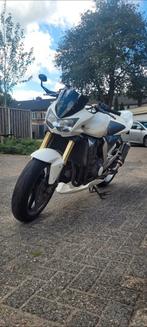 Kawaski Z1000 2005, Naked bike