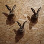 Prachtige hazenkoppen. Taxidermie 185 per stuk, Ophalen of Verzenden, Nieuw, Wild dier, Opgezet dier