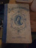 Bijbelsche Geschiedenis - G.E. Mes, Ophalen of Verzenden, Gelezen, G.E. Mes, Christendom | Katholiek