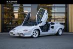 Lamborghini Countach LP500 S 5.2 V12, Auto's, Lamborghini, Lederen bekleding, 5167 cc, Achterwielaandrijving, Gebruikt