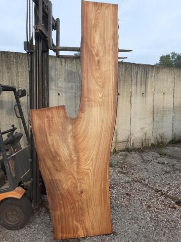 Boomstamplanken, planken, hout, wandplanken beschikbaar voor biedingen