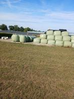 Te koop hooi, Dieren en Toebehoren, Dierenvoeding, Ophalen of Verzenden, Vee