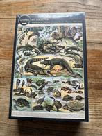 Puzzel 1000 st nieuw. Krokodillen, schilpadden, varanen..., Hobby en Vrije tijd, Ophalen of Verzenden, 500 t/m 1500 stukjes, Nieuw