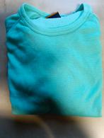 Thermo ondergoed Crivit Sports Trui en broek Maat L 44/46, Ophalen of Verzenden, Zo goed als nieuw, Maat 52/54 (L), Crivit Sports