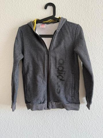 Adidas vest met capuchon, maat 152 beschikbaar voor biedingen