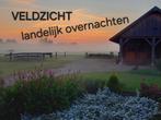 Stalling met weide, Dieren en Toebehoren, Stalling en Weidegang, Weidegang, 2 of 3 paarden of pony's