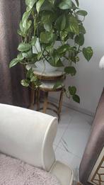 Meubel woonkamer, Ophalen of Verzenden, Zo goed als nieuw