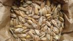 Natuly ( voorheen Bio-Ron ) Ruwe spelt 20 kilo, Ophalen of Verzenden, Overige soorten