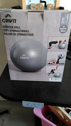 Grijze fitnessbal 65 cm, Sport en Fitness, Ophalen of Verzenden, Zo goed als nieuw, Benen, Fitnessbal