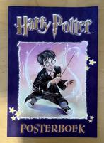 Harry Potter Posterboek Steen der Wijzen, Gebruikt, Ophalen of Verzenden, Boek of Poster
