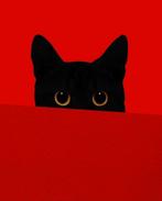 Lieve poes aangeboden, Dieren en Toebehoren, Katten en Kittens | Overige Katten, Poes