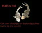 Afstrijkje en advies aan huis voor u koi / vis 75 euro incl, Dieren en Toebehoren, Vissen | Vijvervissen, Karper of Koi