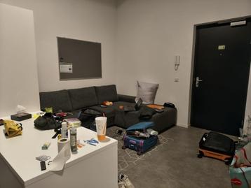 Huur (for rent): Studio 48m2, Enschede (city centrum) beschikbaar voor biedingen