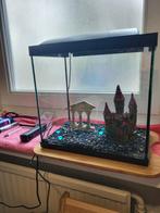 Compleet aquarium 30 liter, Dieren en Toebehoren, Ophalen of Verzenden, Gebruikt, Leeg aquarium