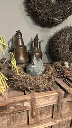 Nest Fern Root verkrijgbaar in 2 afmetingen, Ophalen of Verzenden