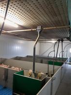 (6)Biggenhokken met Nooyen vloer, Stalling
