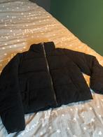 Kort winterjack, maat XL, zwart, Ophalen of Verzenden, Gedragen, Maat 46/48 (XL) of groter, Zwart