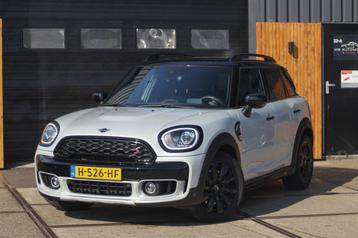 Mini Mini Countryman 2.0 Cooper S White Silver Edition *Pano beschikbaar voor biedingen