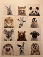 IXXI dierenprenten  60x80, Antiek en Kunst, Ophalen of Verzenden