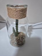 Siercactus is glazen vaasje, Huis en Inrichting, Kamerplanten, Ophalen of Verzenden, Cactus, Minder dan 100 cm