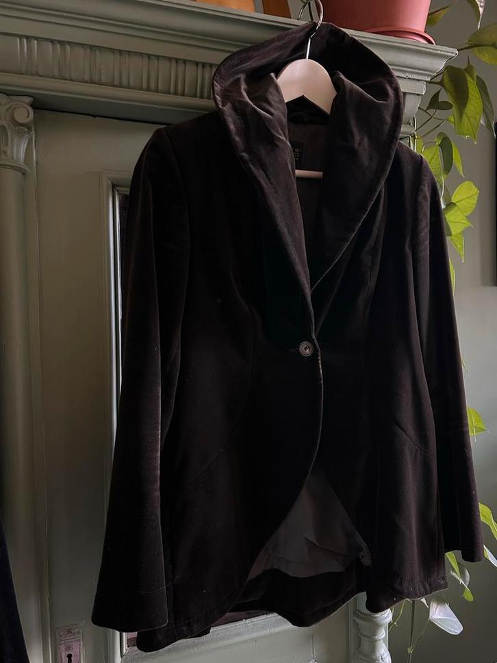 Pauw Amsterdam velours jasje Maat 2, Kleding | Dames, Jasjes, Kostuums en Pakken, Zo goed als nieuw, Jasje, Maat 38/40 (M), Bruin