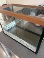 Terrarium 62x42x32, Dieren en Toebehoren, Ophalen, Zo goed als nieuw, Terrarium of Paludarium
