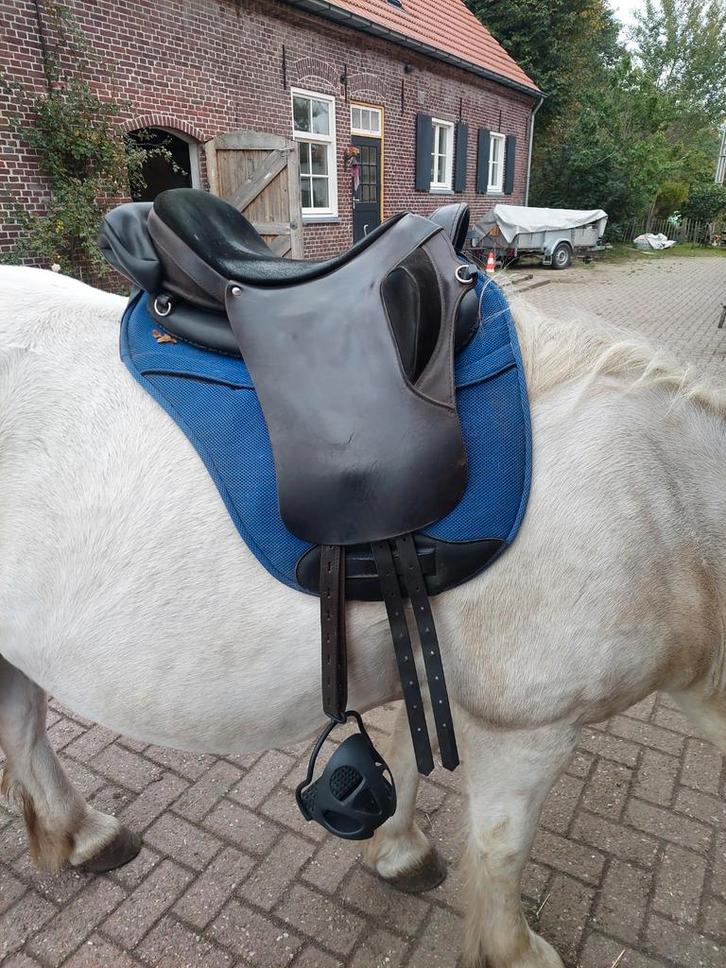 Ghost Roma Piccollo Bruin, Dieren en Toebehoren, Paarden en Pony's | Hoofdstellen en Tuigage, Overige soorten, Ophalen of Verzenden