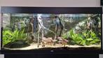 Juwel Rio 240 met meubel, extern filter en LED lamp, Ophalen, Zo goed als nieuw, Leeg aquarium