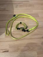 Puppy halsband met riem Martin, Dieren en Toebehoren, Ophalen of Verzenden, Zo goed als nieuw
